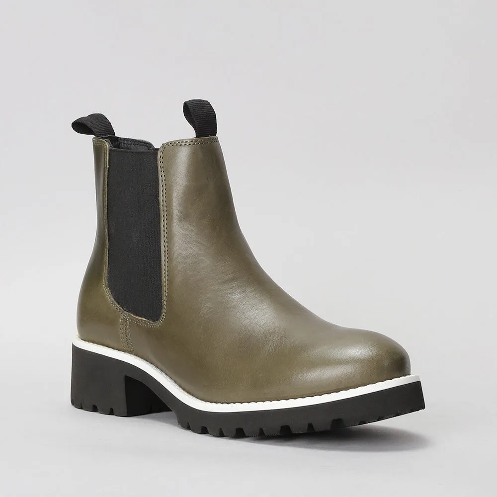 Elby - Olive