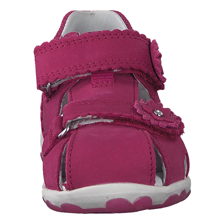 Fanni Pink