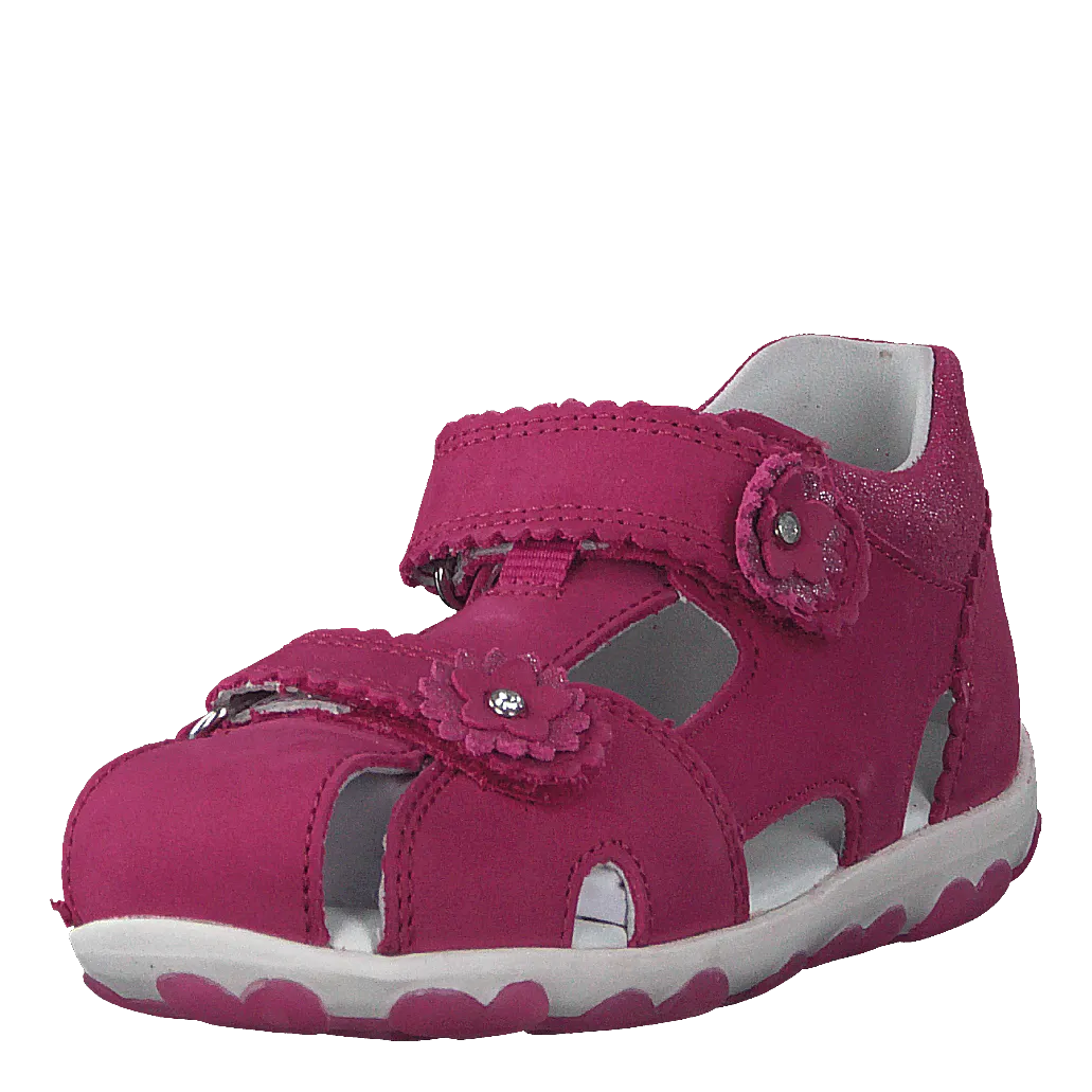 Fanni Pink
