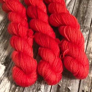 Mockingbird Sock Mini Skein - Poppy