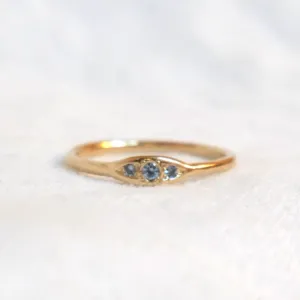 Trio Ring Montana Sapphire