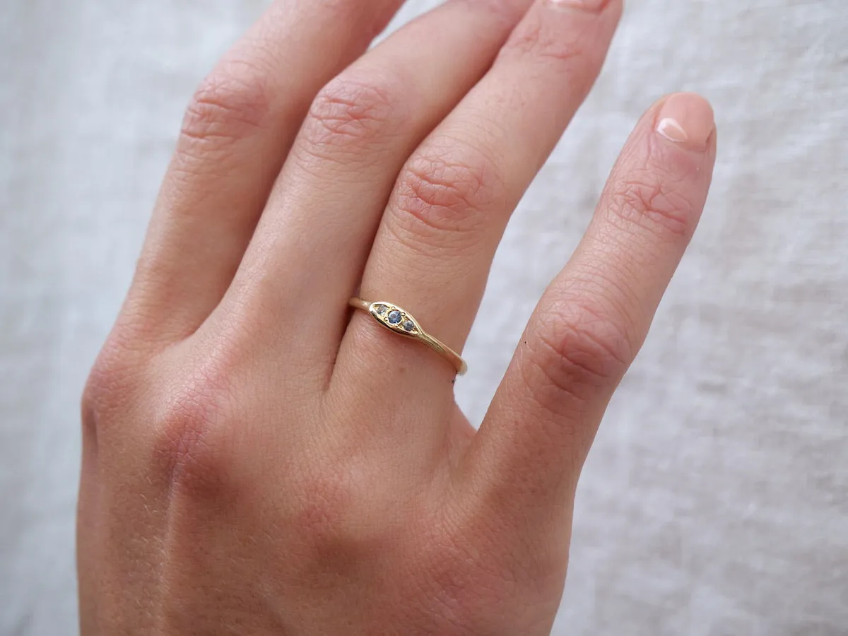 Trio Ring Montana Sapphire