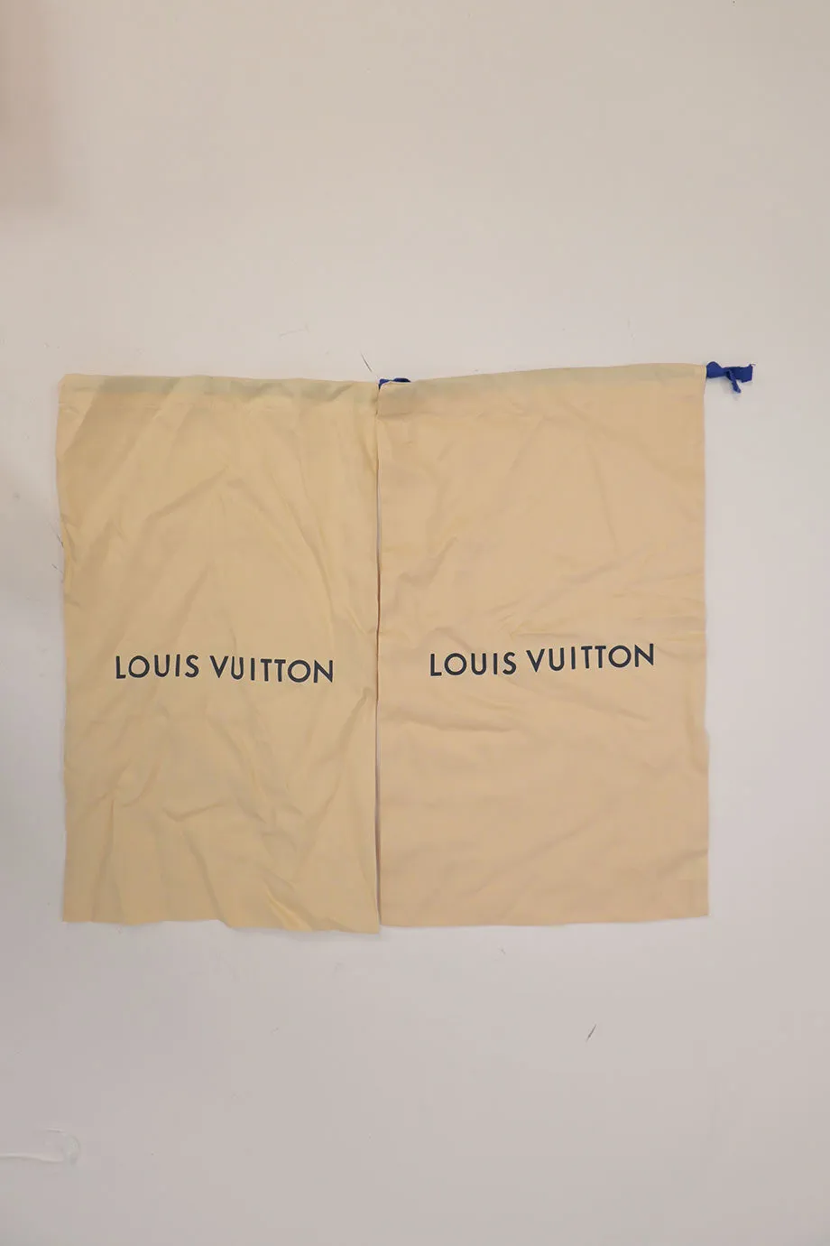 [WS7189] Louis Vuitton | Sneakers